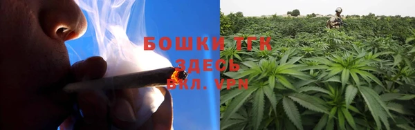 твердый Алексин