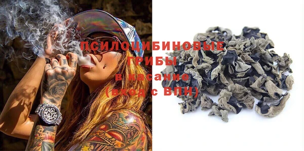 твердый Алексин