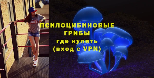 бошки Алзамай