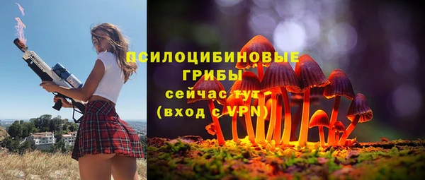 твердый Алексин
