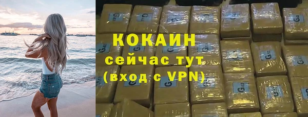 твердый Алексин