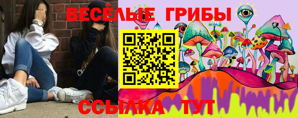 Псилоцибиновые грибы Cubensis  Вход с VPN  Всеволожск 